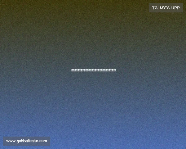 早报:独自前行的困境与力量,探索如何在孤独中找到成长与支持 早报:独自前行的困境与力量,探索如何在孤独中找到成长与支持