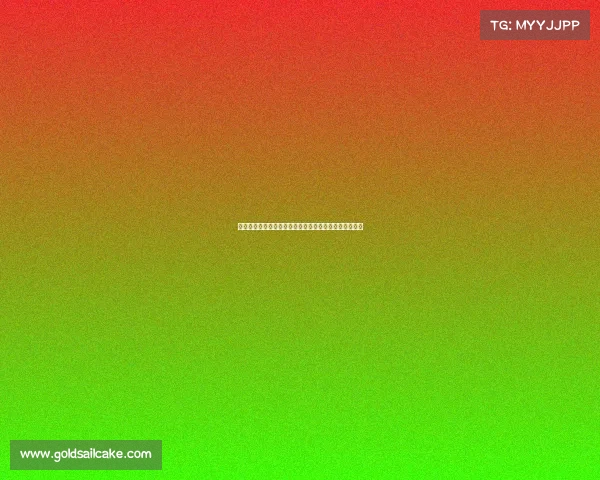 瓦伦西亚确定本赛季队长人选塔雷加和富尔基耶入选名单 瓦伦西亚确定本赛季队长人选塔雷加和富尔基耶入选名单