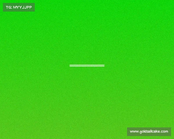 阿莱格里惊讶于亚沙里表现未经过多有球训练依然出色